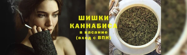 стафф Лабытнанги