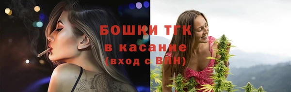 МДПВ Лагань