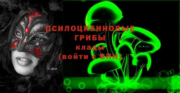 стафф Лабытнанги