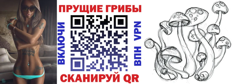 как найти наркотики  OMG зеркало  Псилоцибиновые грибы Cubensis  Горячеводский 